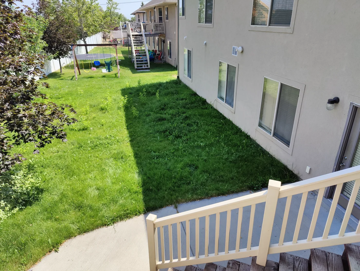 Before landscaping project