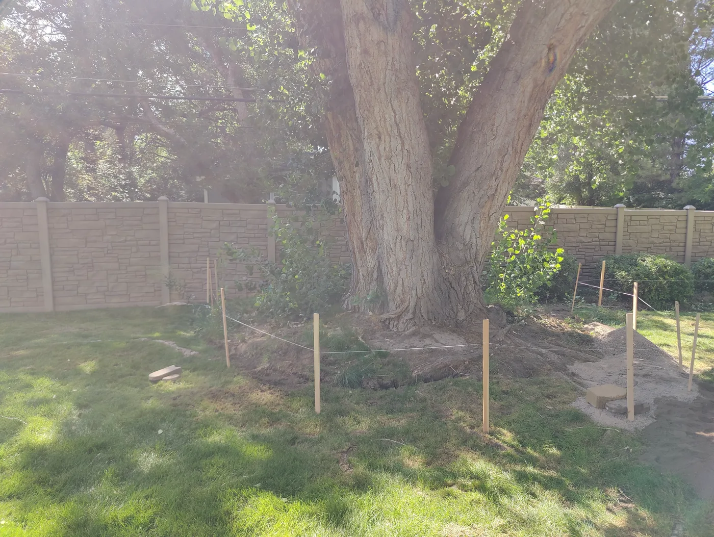 Before outdoor project